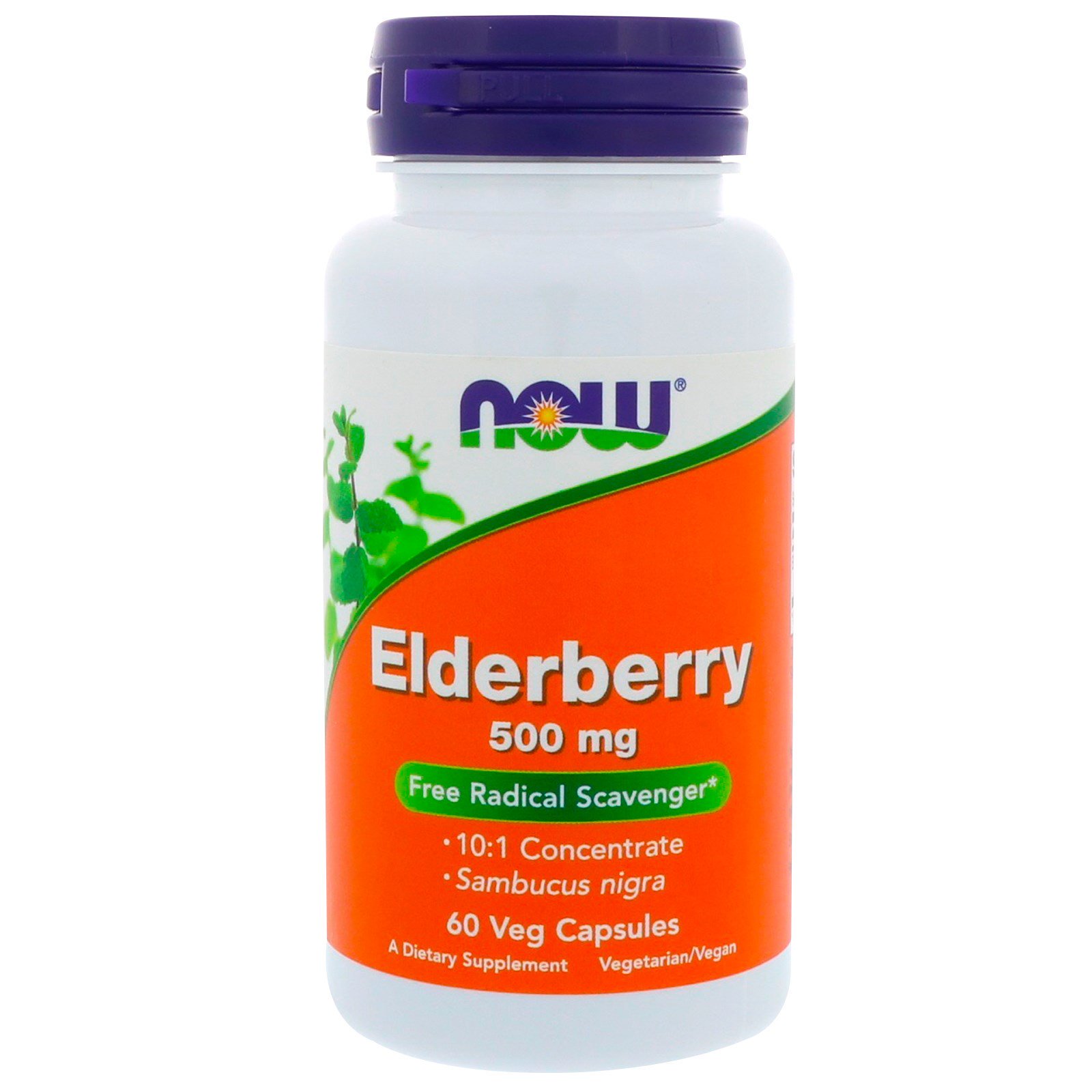 NOW Elderberry, Бузина Концентрат (Sambucus nigra) 500 мг - 60 капсул