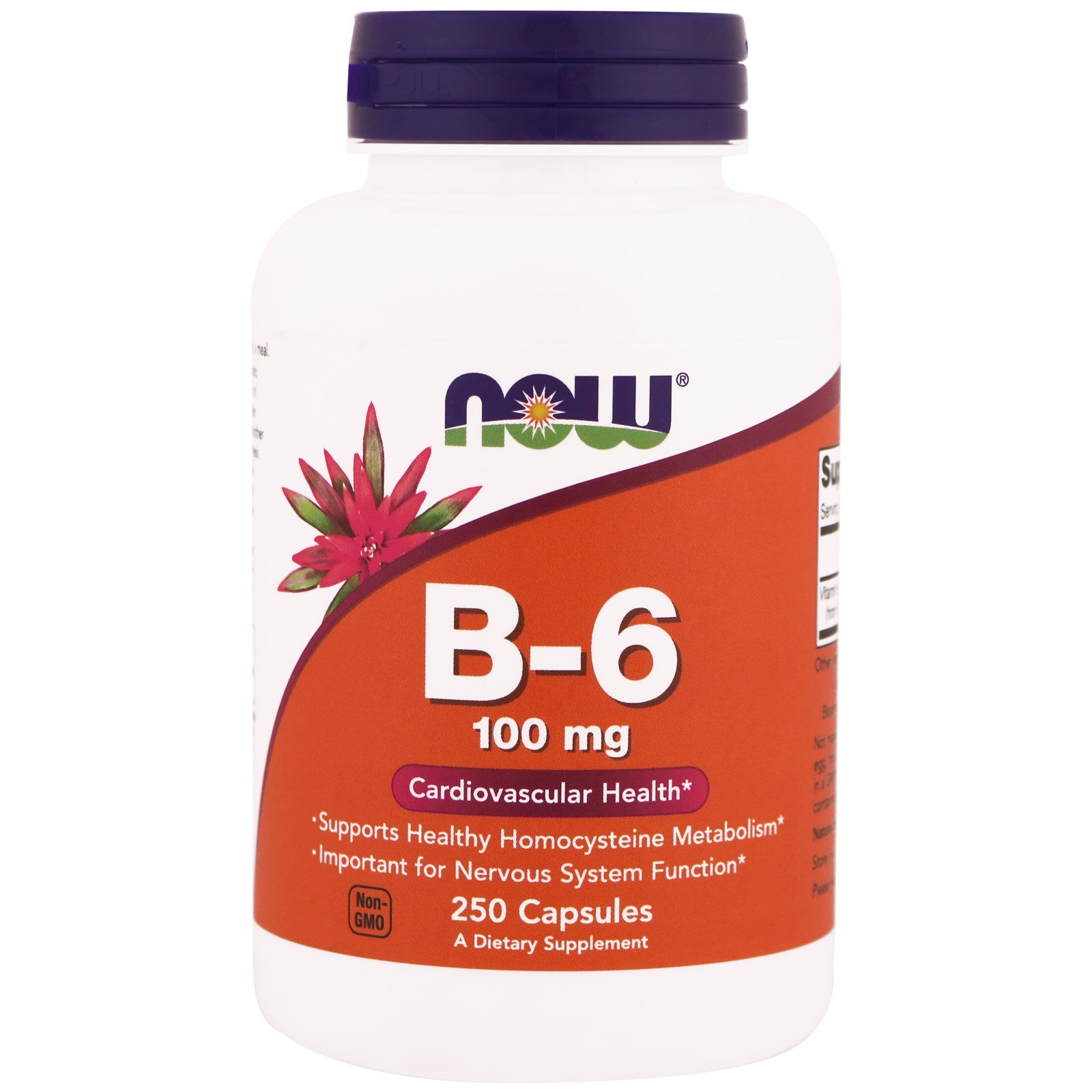 NOW B-6, Витамин В-6, Пиридоксин 100 мг - 250 вегетарианских капсул