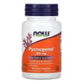 NOW Pycnogenol, Пикногенол 100 мг - 60 капсул