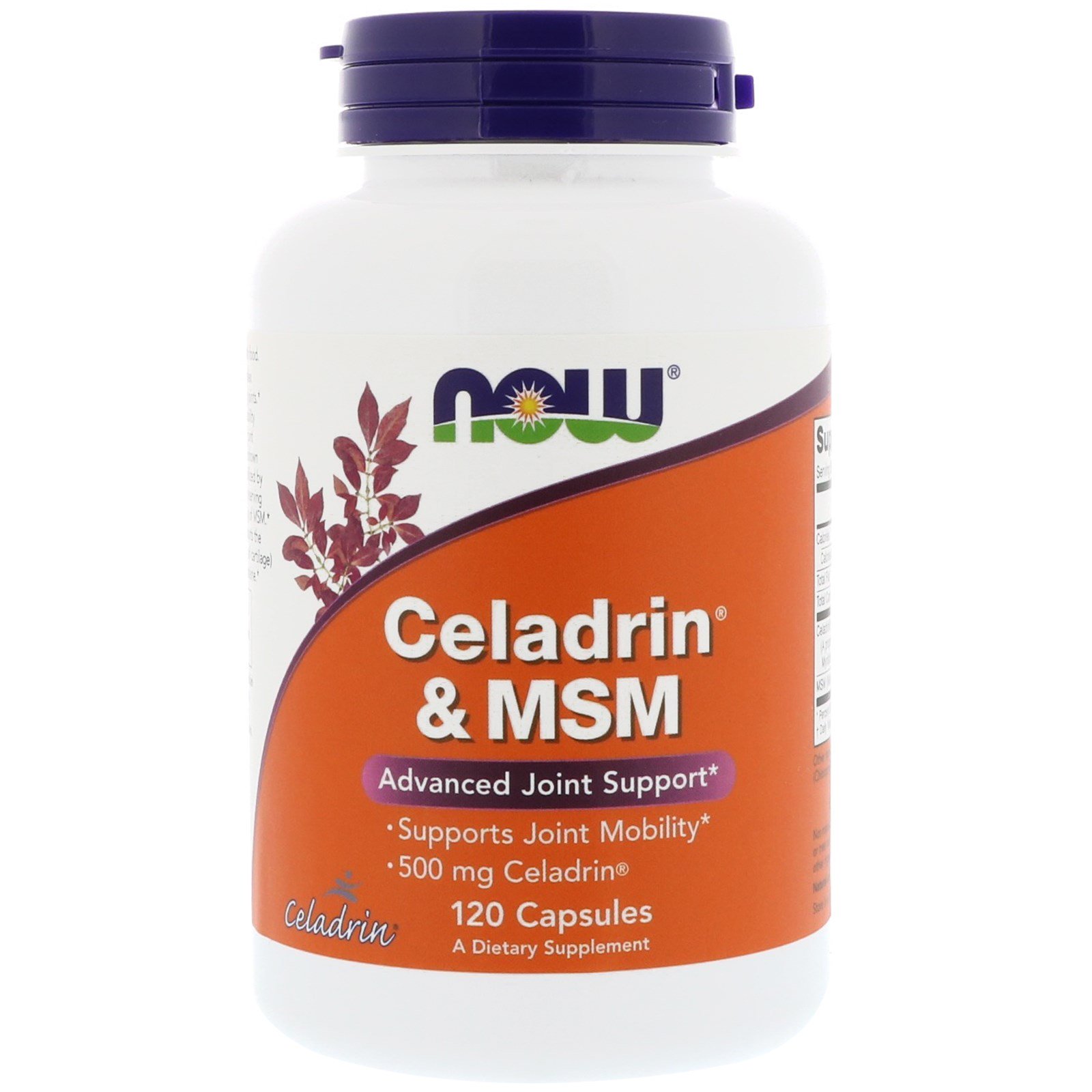 NOW Celadrin MSM, Целадрин и МСМ (Mетилсульфонилметан) - 120 капсул
