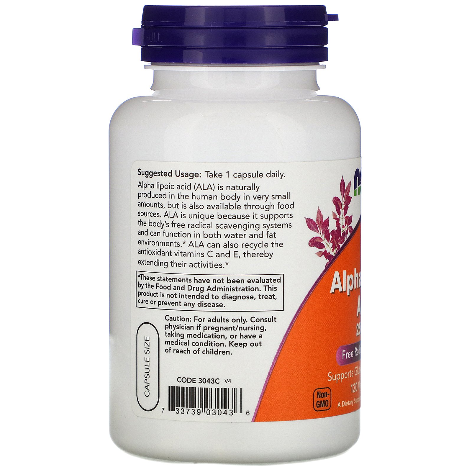 Alpha Lipoic Acid, Альфа-Липоевая Кислота 250 мг - 60 капсул
