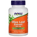 Olive Leaf Extract, Экстракт Листьев Оливы 500 мг - 120 капсул