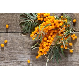 Как правильно поддерживать иммунитет в осенний период