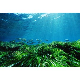 Йододефицит: признаки и источники микроэлемента