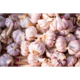 Натуральные антибиотики от простуд в осенний сезон