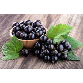 Alpha Lipoic Acid Extra, Альфа-Липоевая Кислота Экстра