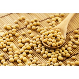 Растительные продукты с высоким содержанием белка