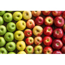 Здоровая микрофлора кишечника