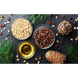 Польза кедровых орехов