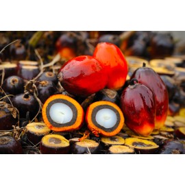 MCT Oil, Масло Триглицеридное, Средняя Длина Цепочки (Кокосовое и Пальмовое)