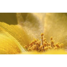 Об аллергии